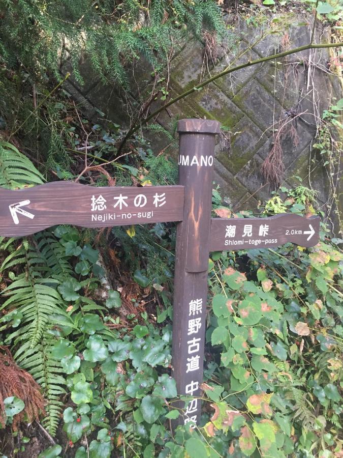 Kumano Winery Guest House Танабе Екстер'єр фото